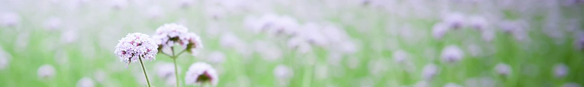 211815 同题参见