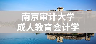 成人世界杯官网